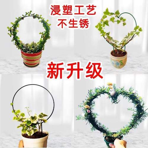 室内爱心形铁艺花架山乌龟绿萝爬藤架子绿植攀爬园艺圆形造型支架