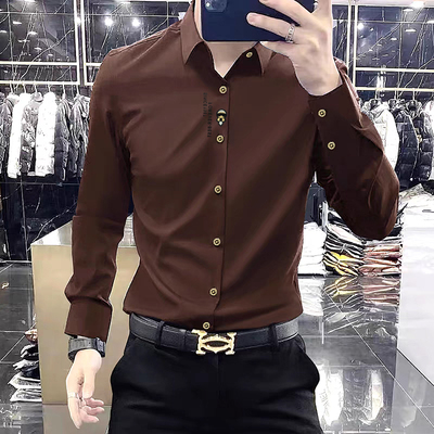 秋丝光免烫无痕长袖衬衫男装上衣