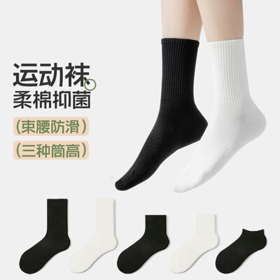 【下单立减50】棉袜子男女同款中短筒秋冬薄款防臭学生运动袜_jh2