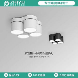 至御双头明装 灯可调三头四头天花灯客厅无主灯012 筒灯led吸顶式