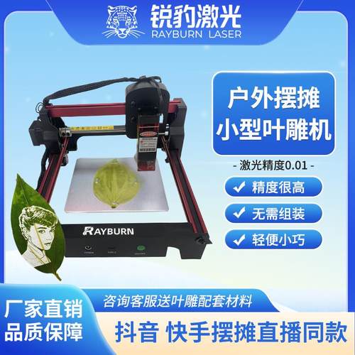 小型叶雕机树叶激光照片雕刻机全自动摆摊叶子打印机器激光打标机