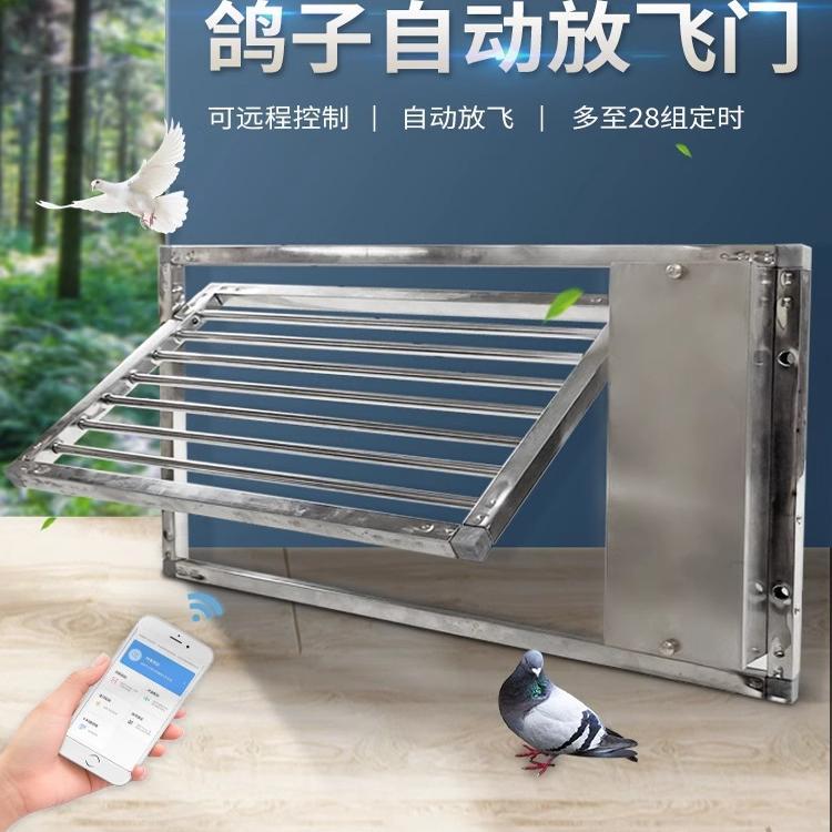 自动放飞门鸽舍远程遥控电动放飞门鸽棚定时进出口撞门放飞笼