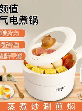 半球小型迷你电煮锅宿舍学生锅小电锅煮面泡面炒菜多功能一体家用