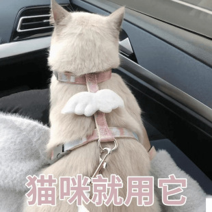 外出猫绳子猫咪牵引绳防挣脱宠物背带工字可调节网红遛猫绳子