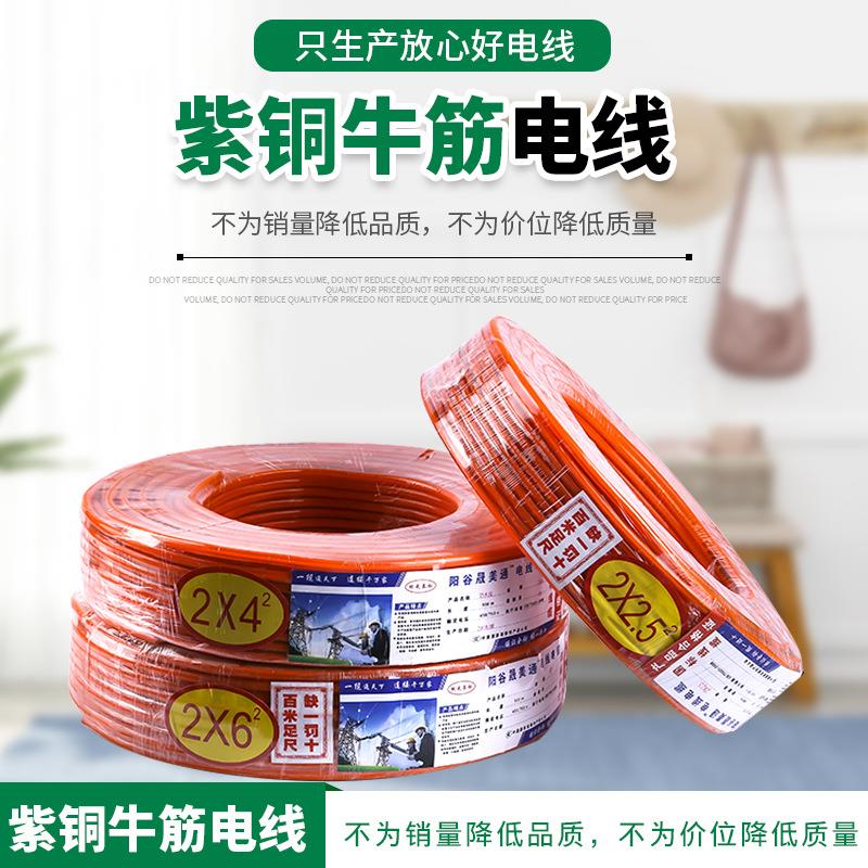紫铜牛筋电线 纯铜防水2芯软电缆线防冻电线2.5 4 6平方红透明线