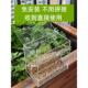芦丁鸡喂食器自动防刨专用食槽亚克力防溅鸟食盒下料食盆饲料盒