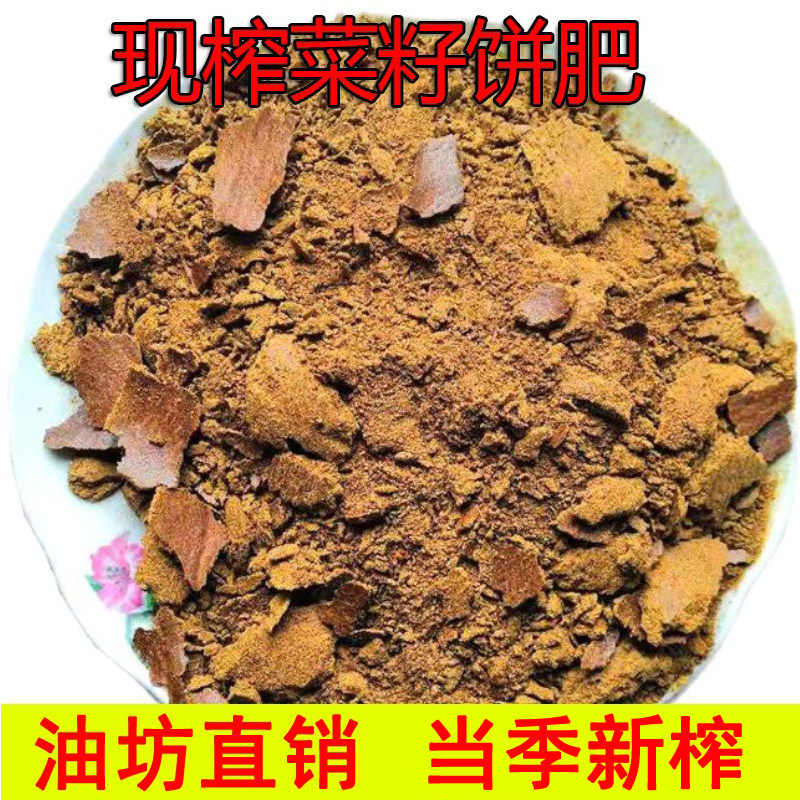 菜籽油饼农家菜枯打窝有