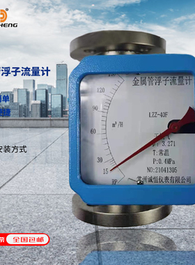 LZZ-15/25/32/40/50/65F金属管转子流量计就地指针显示浮子不锈钢