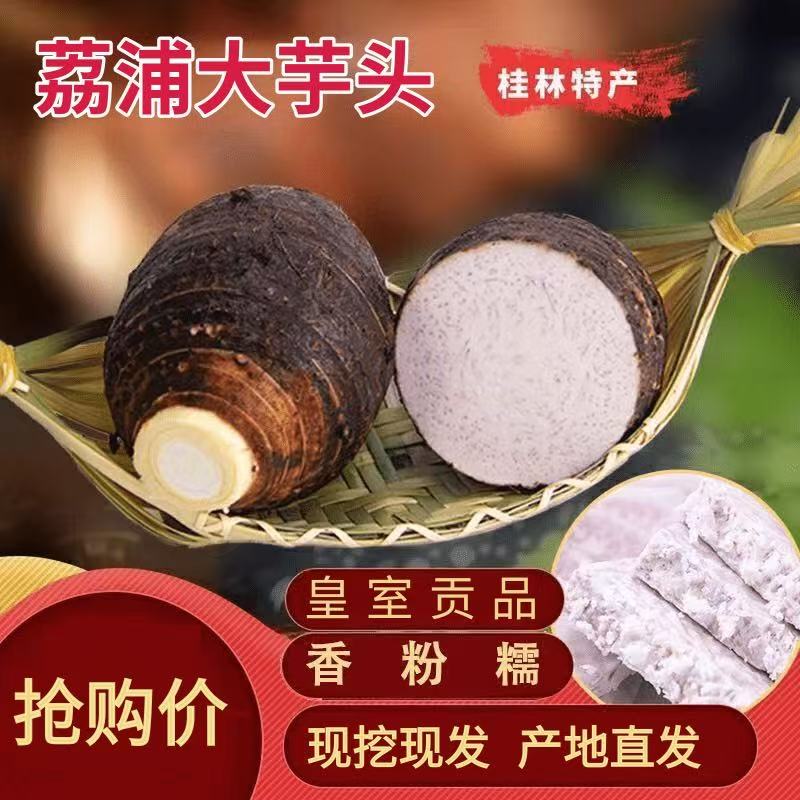 广西荔浦新鲜大芋头现挖香芋