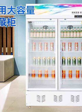 智冰客饮料展示柜冷藏保鲜冰柜大容量双开门超市立式单门啤酒冰箱