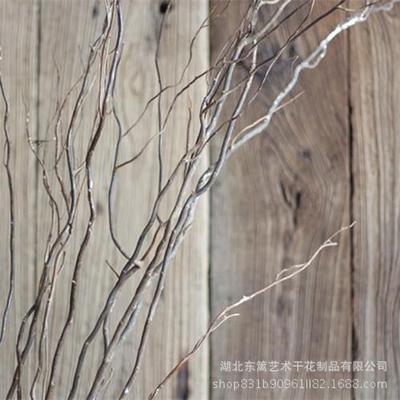 龙柳干花干植物树枝家居客厅装饰干树枝拍摄道具龙柳枝曲柳干树枝