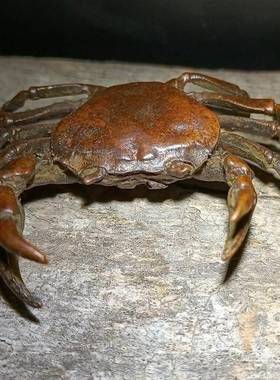 古玩铜器螃蟹茶宠摆件实心茶道茶玩禅意横财将军大发横财装饰摆件