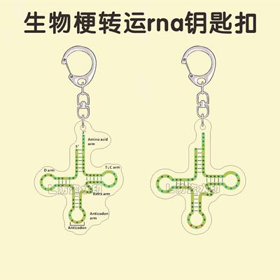生物热梗转运RNA钥匙扣trna压克力潮流趣味书包挂件送同学礼物