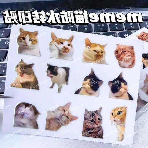 趣味meme猫防水uv水晶标转印贴平板笔记本水杯耳机搞怪创意装饰贴