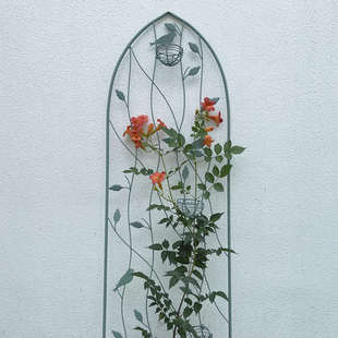 铁艺山乌龟月季 球兰铁线莲花架爬藤架子绿萝植物攀爬花支架杆室外