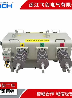 户外柱上SF6绝缘负荷开关PGS-11KV/630APGS-24KV/630A出口型