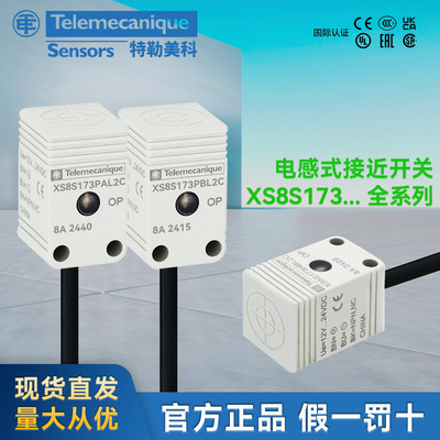 Telemecanique 电感式接近开关 XS8S173PAL2C NAL2C PBL2C NBL2C