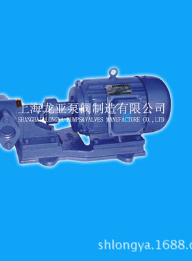 销售YCB-G12-0.615kw齿轮泵 不锈钢齿轮油泵厂家