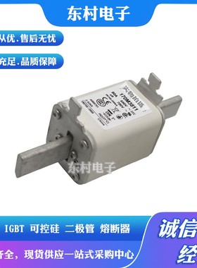 熔断器全新170M3713 170M3714 170M3715 170M3716 170M3717现货