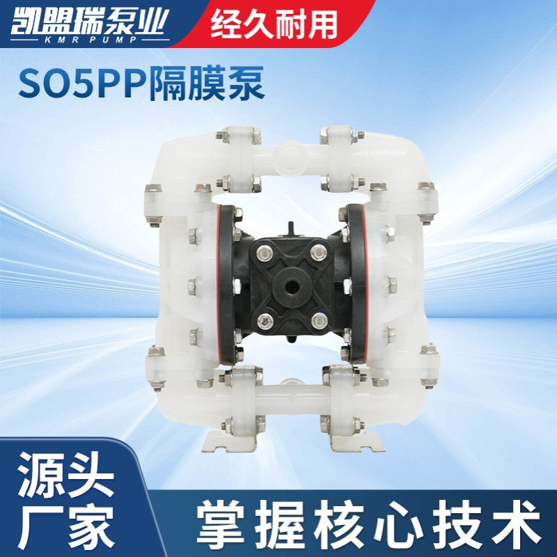 S05PP塑料隔膜泵厂家供应S05B3P2PPD100隔膜泵往复泵塑料自动隔膜