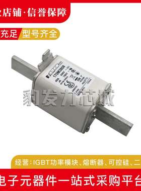 170M3493 170M3494 170M3495 170M3496 170M3497全新熔断器现货