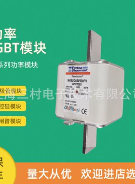 全新熔断器保险质保一年NH000GG50V2/B211946 NH000GG50V4M212462
