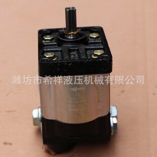 挖掘机专用齿轮泵 小型齿轮油泵 源头厂家多型号不锈钢齿轮泵