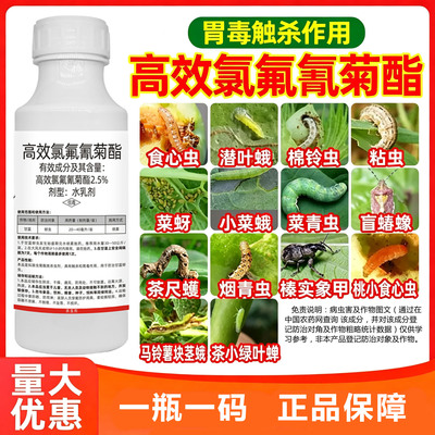 高效氯氟氰菊酯杀蚜菜青虫杀虫剂