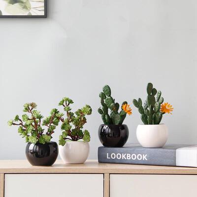 创意室内桌面假花仿真绿植装饰摆件家居茶几植物盆栽仙人掌盆景