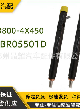 EIBR5501D/33801-4X450共轨喷油器总成适用JBC挖机等系列车型油嘴