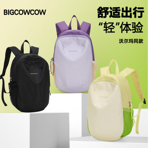 户外休闲大容量电脑双肩背包