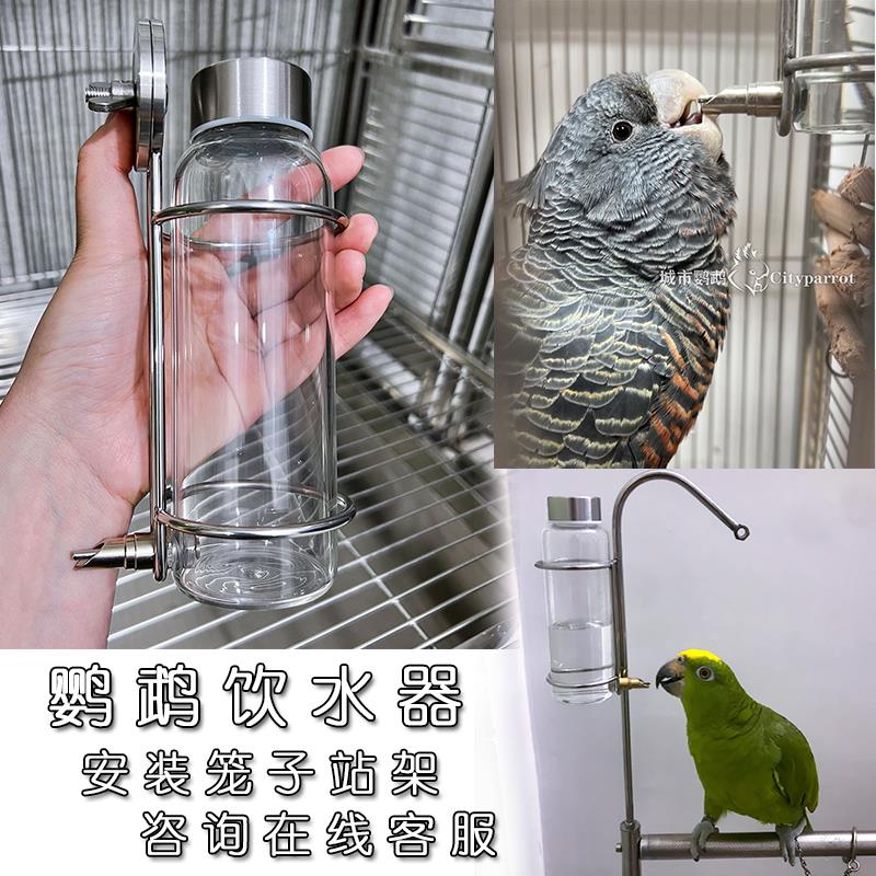 不锈钢水壶架高硼硅玻璃撞针水壶鹦鹉自动饮水器喂水器