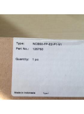 P+F 电感式接近开关NCB50-FP-E2-P1-V1