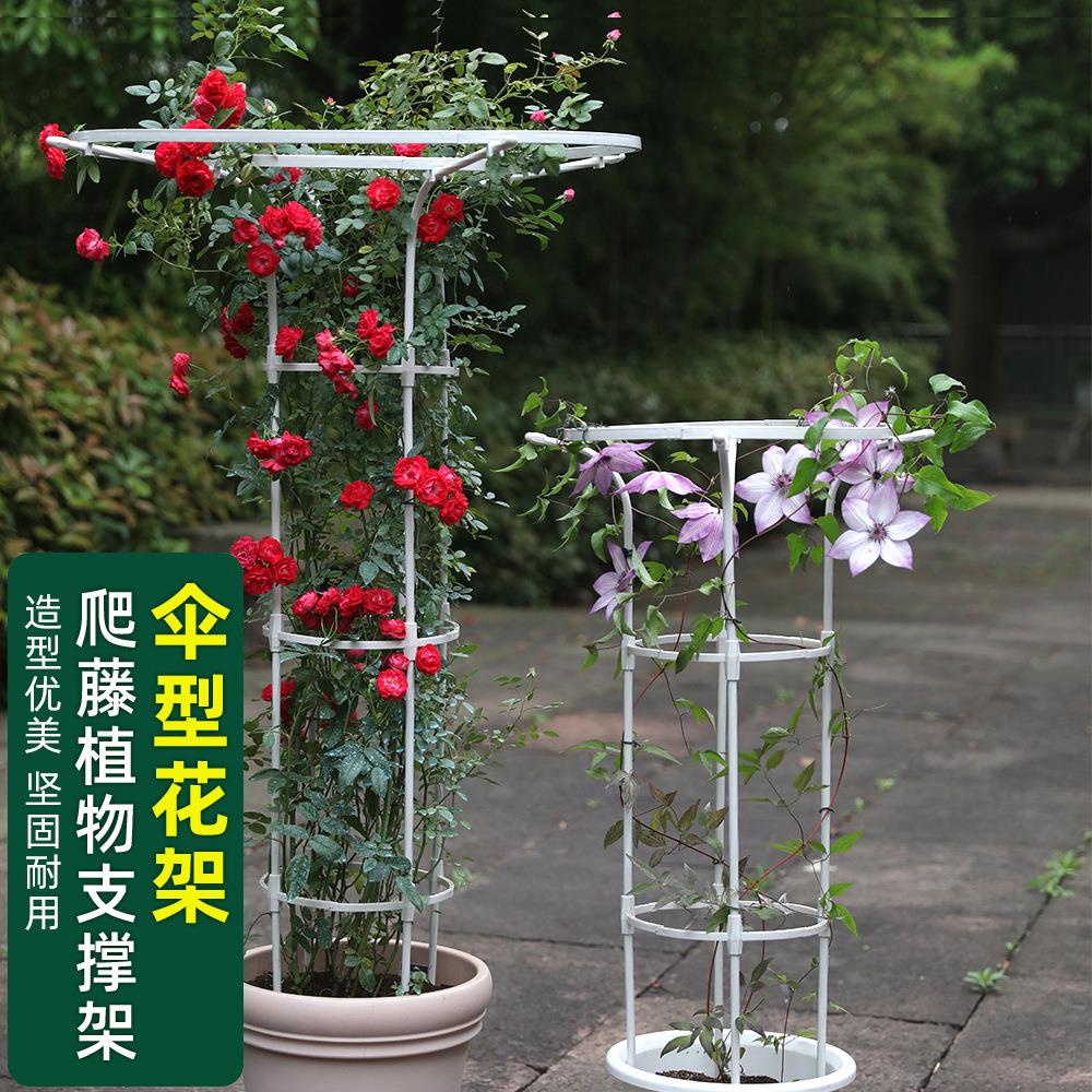 伞形花架月季爬藤架新款园艺支架阳台爬藤架铁线莲户外玫瑰攀架子