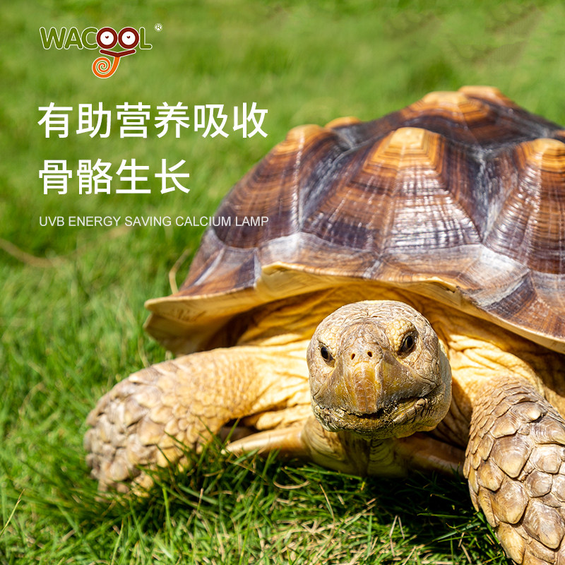 新派WACOOL玩酷爬宠UVB灯乌龟晒背灯陆龟箱补钙节能灯泡10.0 5.0