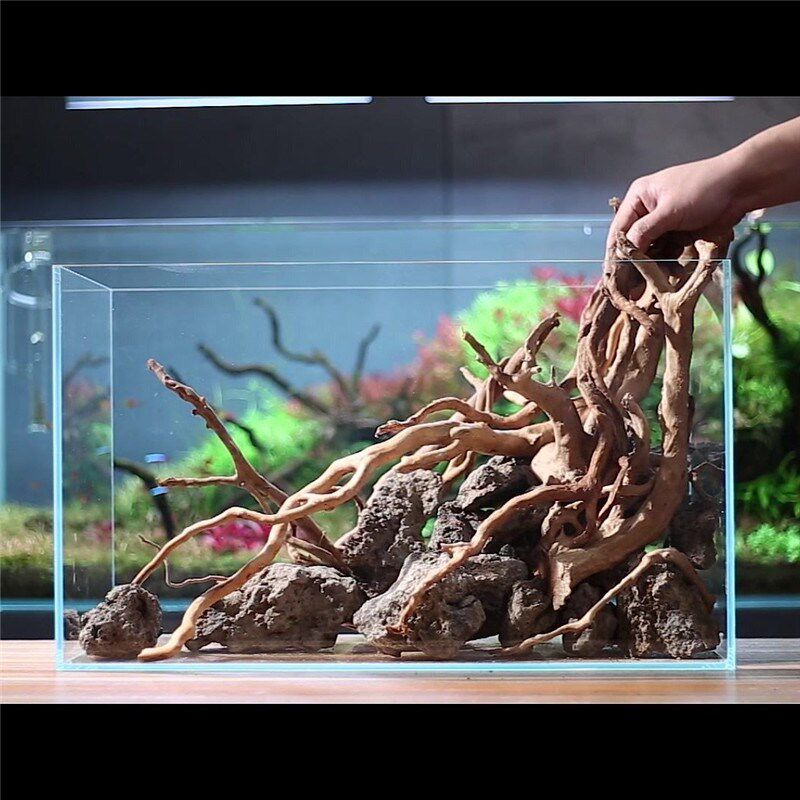 杜鹃根沉木 已煮泡 水草鱼缸造景骨架莫斯树南美缸爬宠摆件装饰品