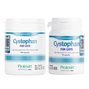 英国沙斯多芬猫咪尿频尿血泌尿道结石膀胱炎尿闭猫沙司多芬利尿通