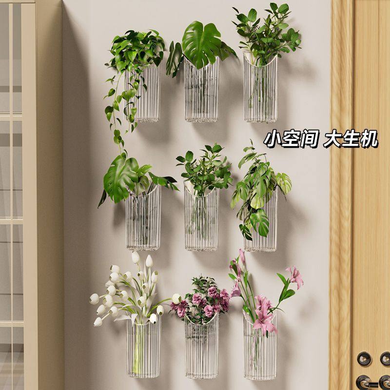 水培植物壁挂花盆透明绿萝鲜置物架创意客厅墙壁装饰挂件绿植花瓶