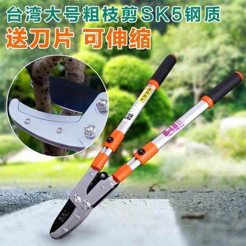园艺剪刀粗枝剪高枝修枝剪伸缩大力剪花园果树枝绿化园林剪刀进口