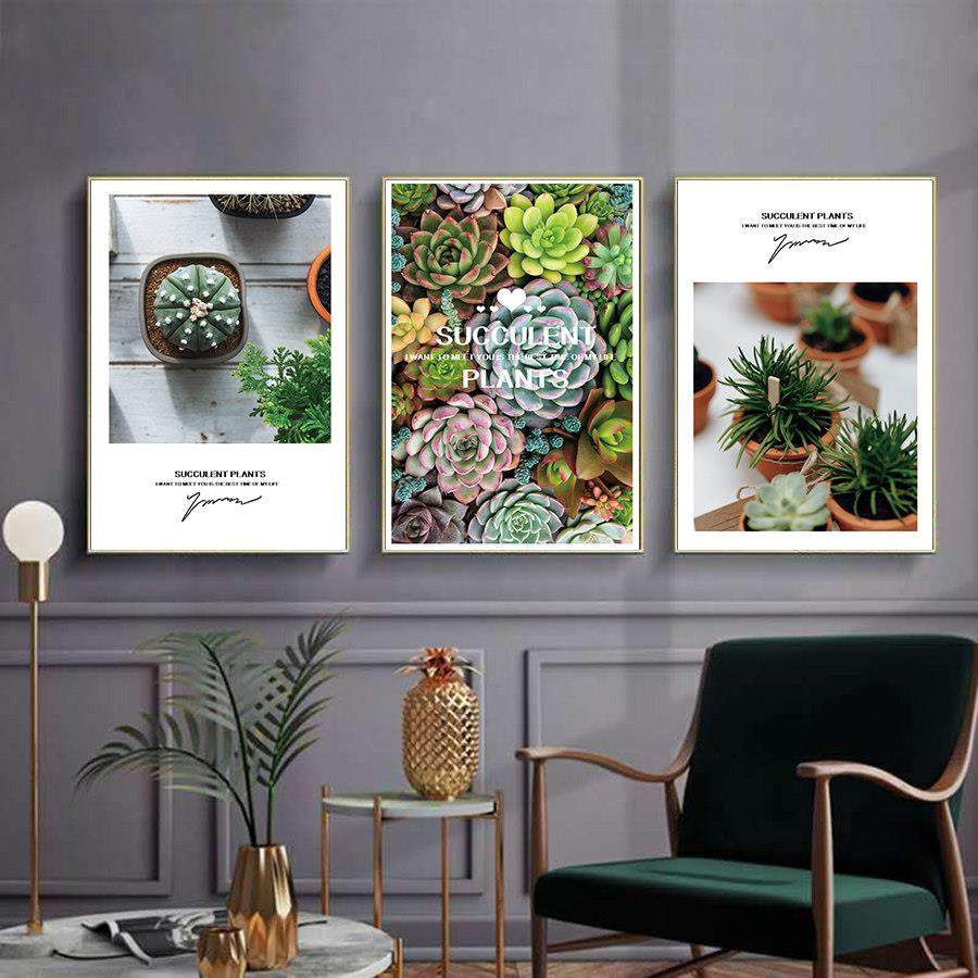 3823多肉植物现代时尚清新装饰画 画客厅背景墙三联画 画饭厅卧室,家居饰品,现代装饰画,淘宝优惠券,粉丝福利购,淘宝优惠卷