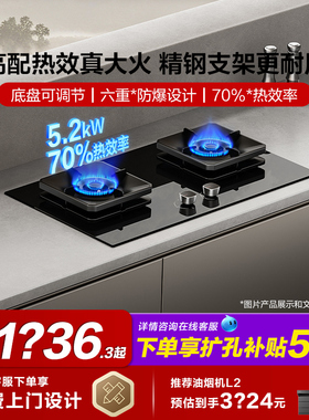 方太TF29B/02-TH29B液化气燃气灶天然气炉家用猛火灶台官方旗舰店