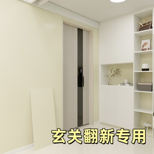肤感铝塑板入户玄关墙贴自粘室内装 饰板 修贴墙板走廊过道墙面装
