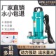 德国进口潜水泵220v污水泵家用抽水小型抽水机高扬程农用灌溉排污