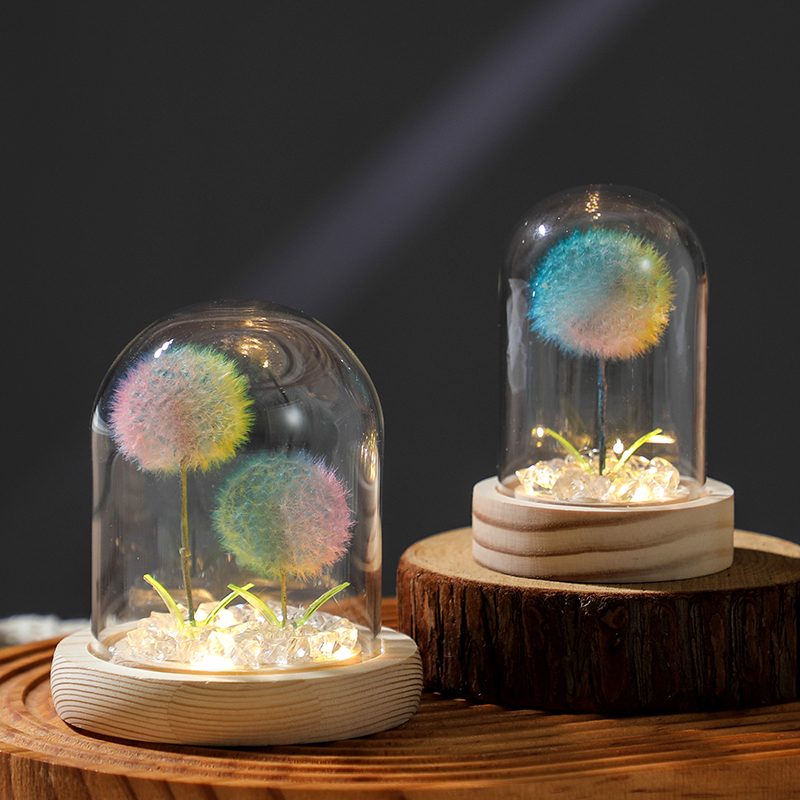 蒲公英永生花玻璃罩小夜灯送女生
