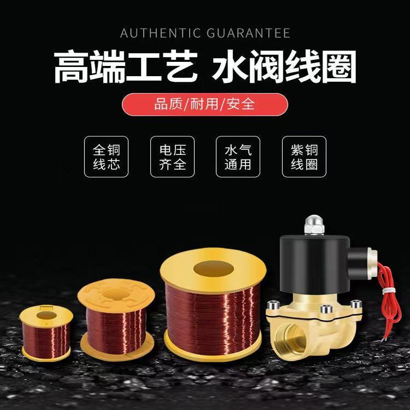 电磁阀水阀高压阀紫铜线圈小中大号2W AC220V AC110V DC24V DC12V