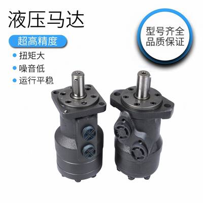 ZHENJIANG 镇江液压马达BMR36 50 80 100 125 160 200 250 315400
