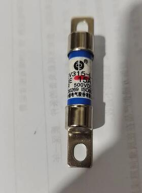 保险丝在汽车拆卸Ev315-L 3Eb 10A 15A 20A 30A 40A 50Adc500V保