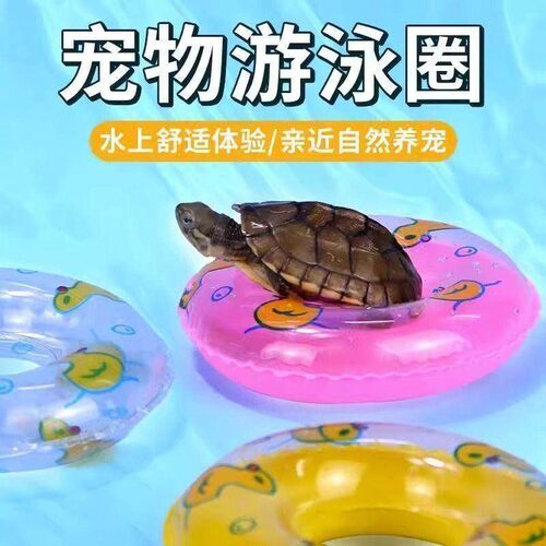 迷你悬浮鱼龟缸造景玩具
