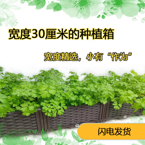 种植箱 自由组合阳台塑料花箱 绿化楼顶温室花盆菜篮支持一件