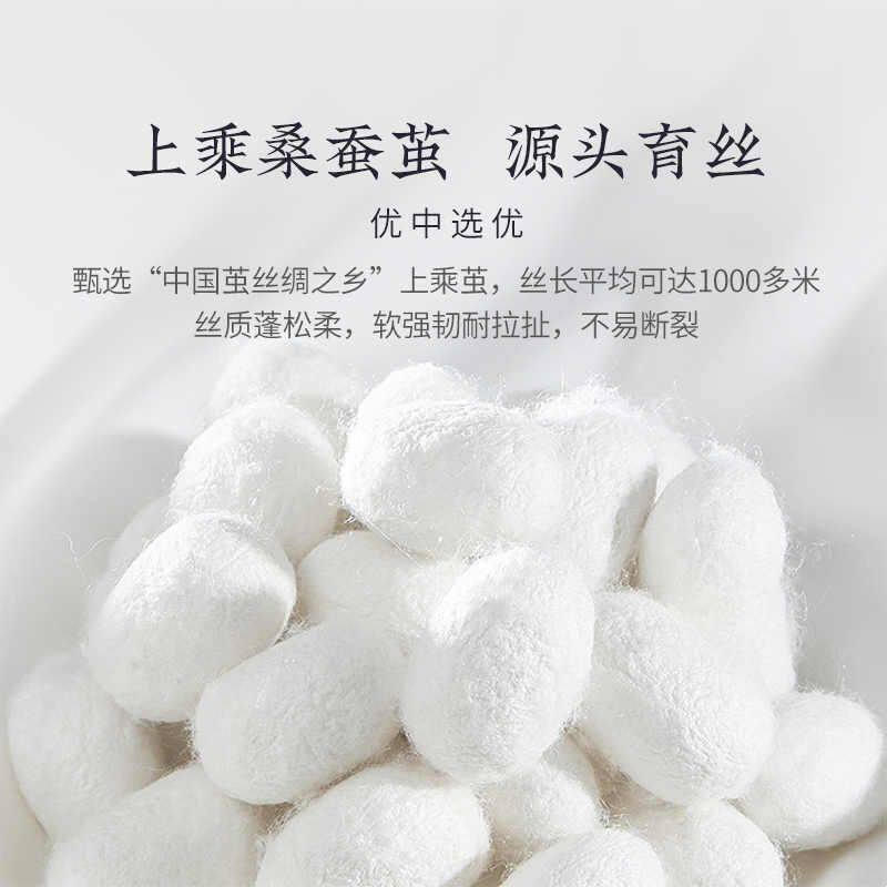 蚕丝被冬被100桑蚕丝被子空调被被芯丝绵被全棉加厚子母被纯手工